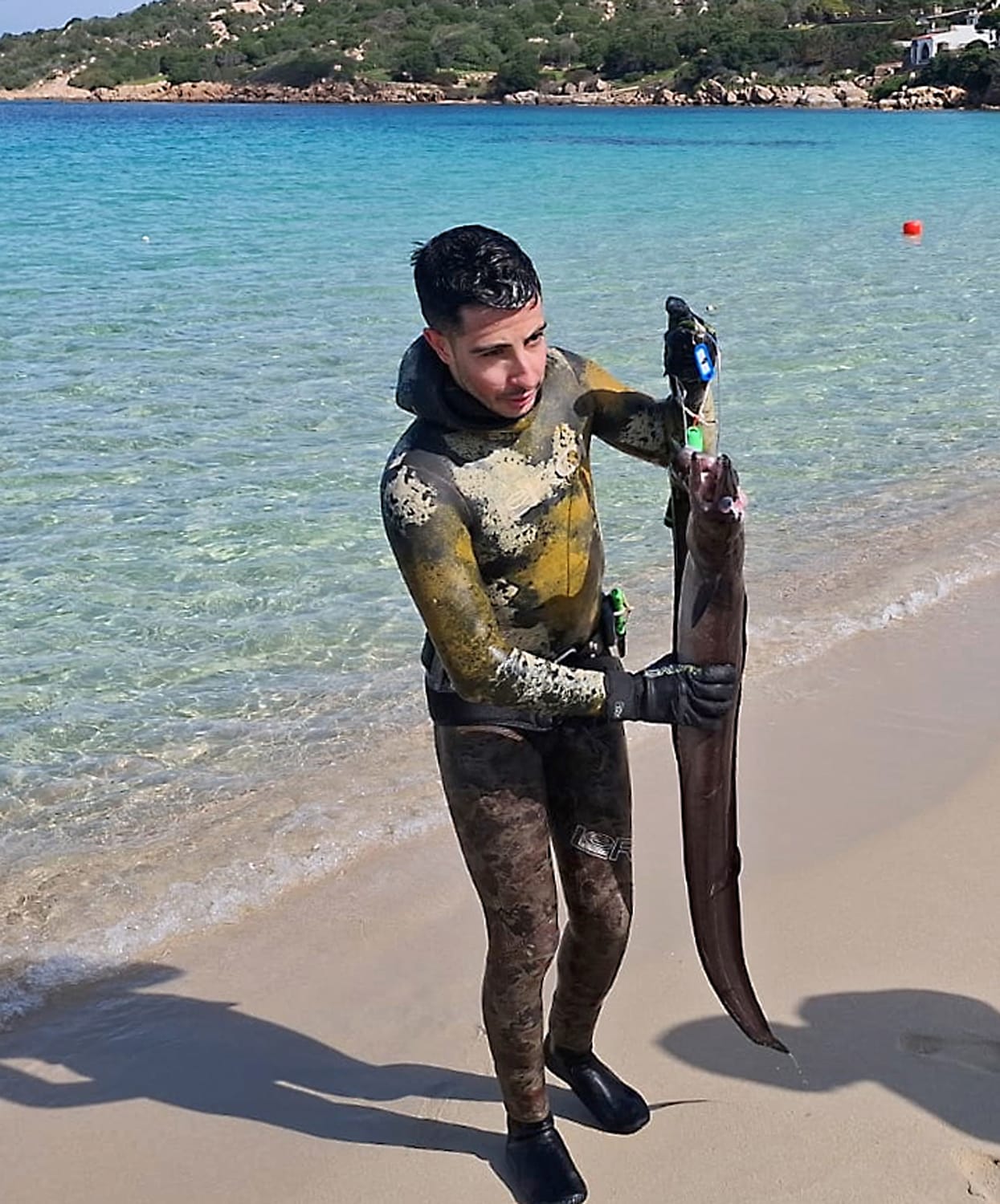 Приветствуем Экспертов