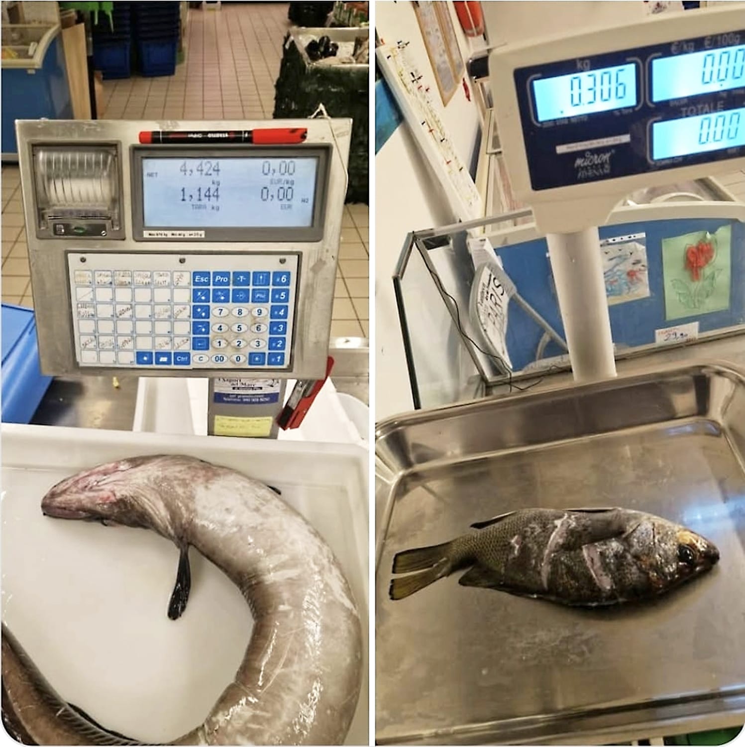 Приветствуем Экспертов