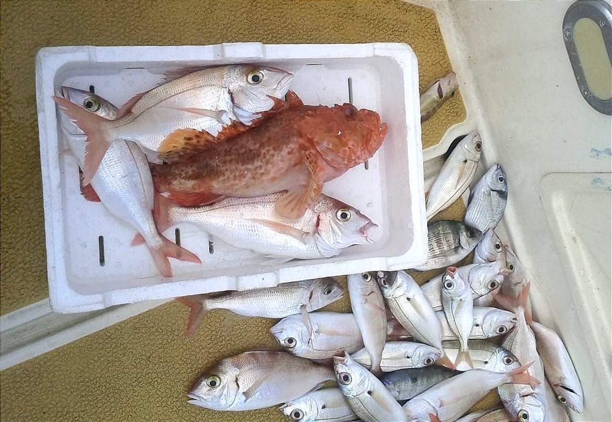 Спортивная рыбалка с лодки в Латине