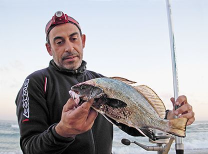 Corvine e Altre Sorprese