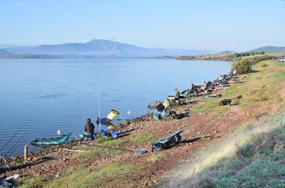 Feedermania - Una Vera Rivoluzione