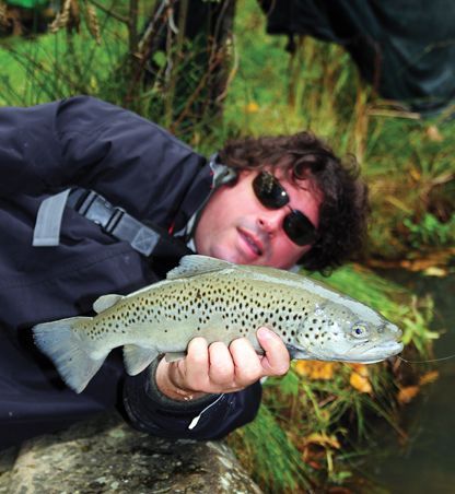 Trota? Vai di Gomma!