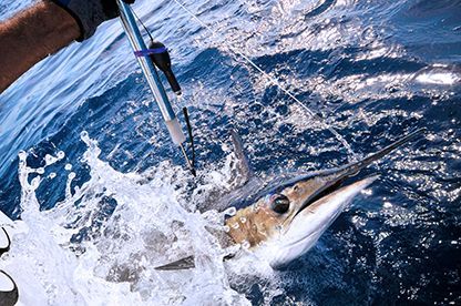 Porto Rotondo Offshore Classic