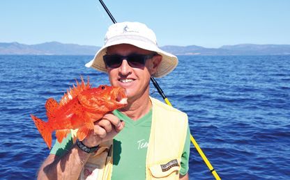 Abboccata & Recupero