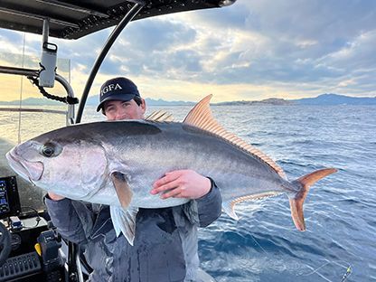 Ricciole col Tonnetto