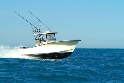 AL Custom e Raymarine