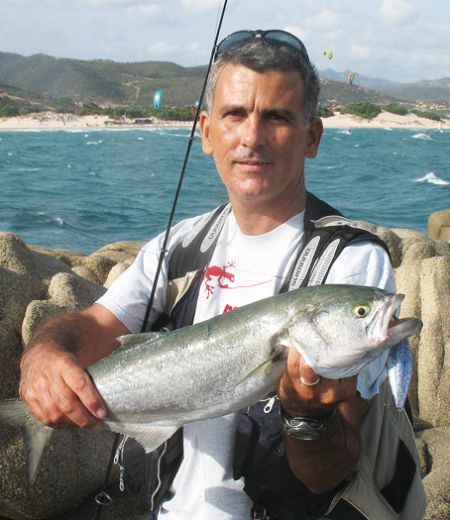 Pesce Serra e Bingias
