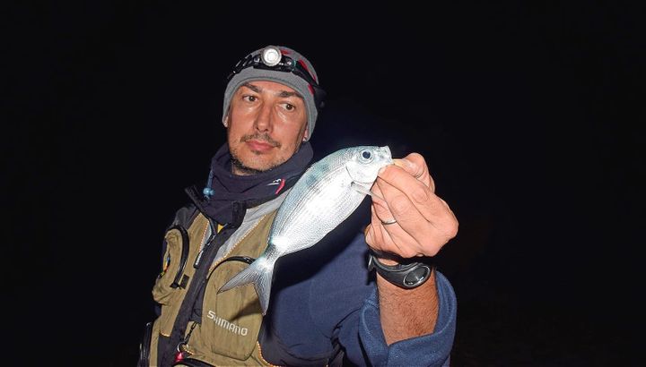 Occhiate in Sospensione