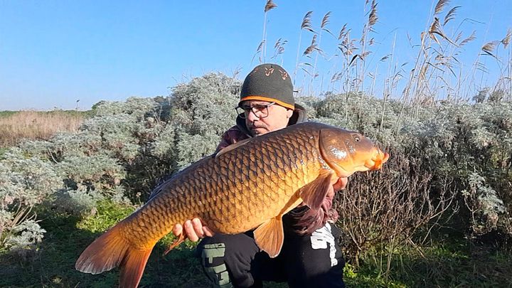 Carpfishing Invernale