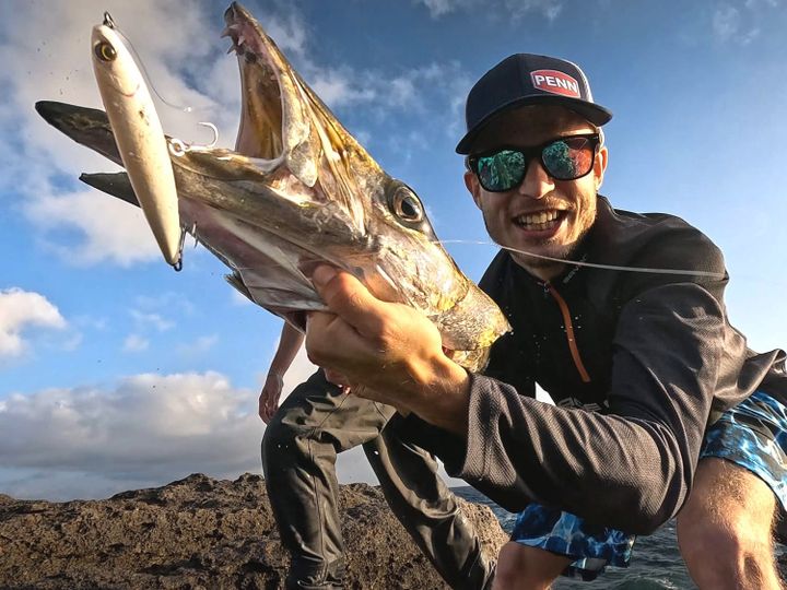 Barracuda tra le Rocce