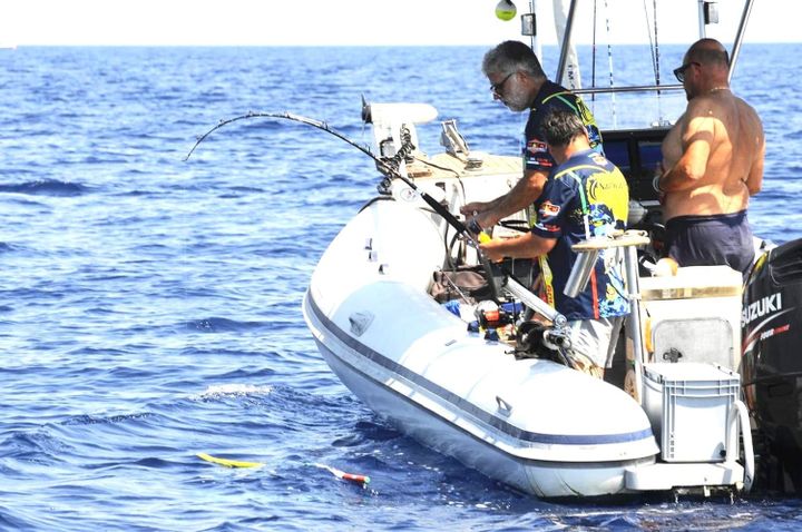 Circeo Tuna Drifting