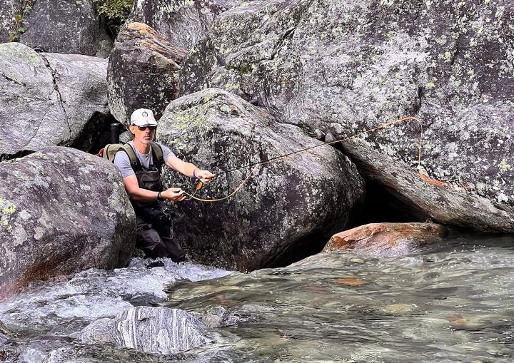 Effimere e Trote Fario