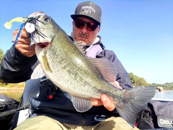 La Vista del Black Bass