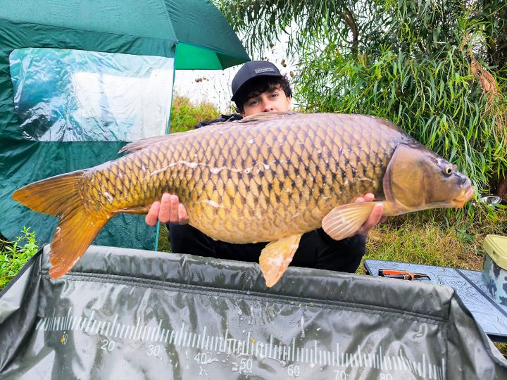 Le Catture di Gennaio 2026