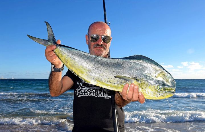 Lampuga e Leccia, quasi per caso