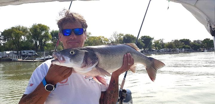 La Spigola di Christian Fedrigo