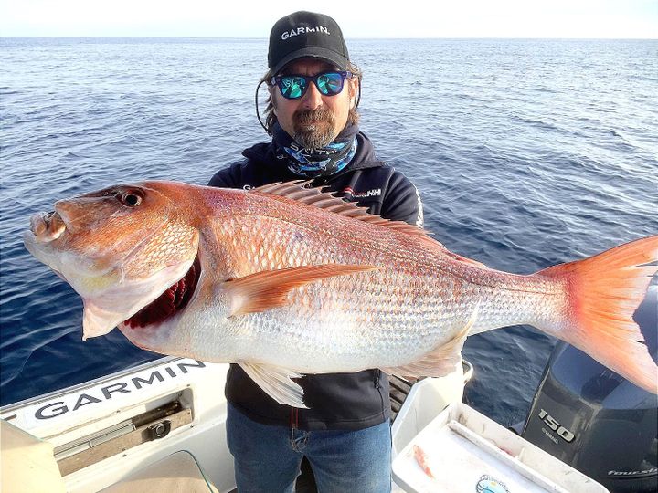 Predatori col Cappotto