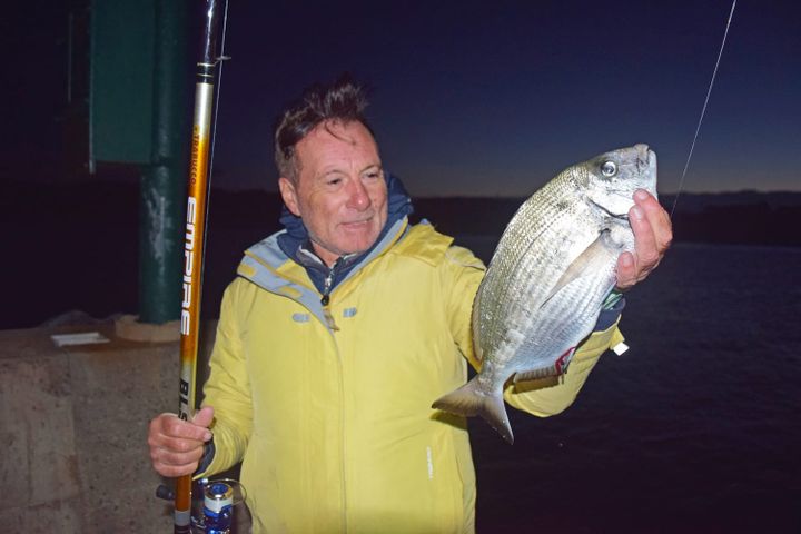 Tentacoli per Saraghi