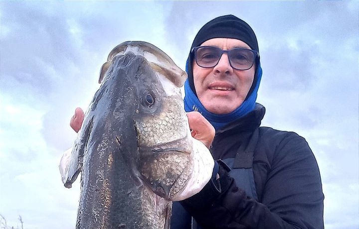 La Super Spigola di Riccardo Senis