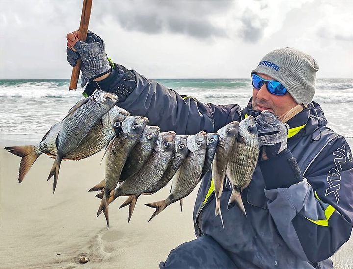 Saraghi, Seppie e Gamberi