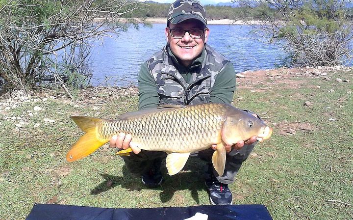 Pionieri e Nuove Leve