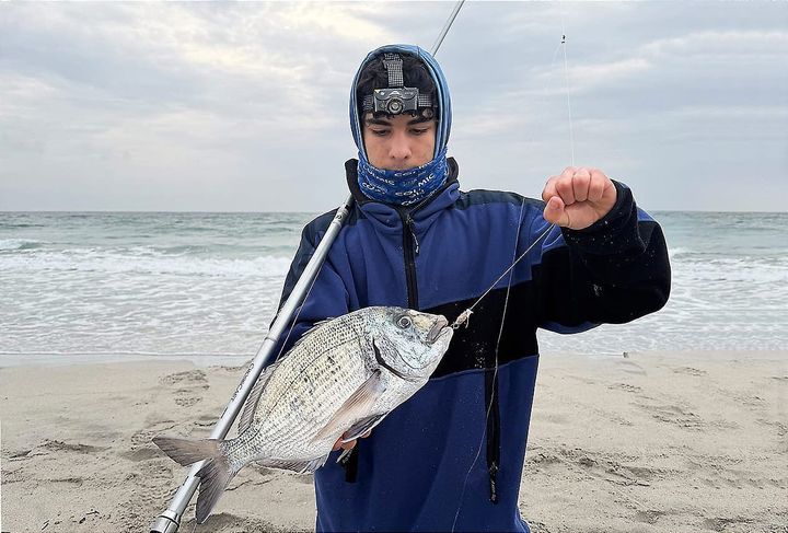 Insieme Oltre L'Onda