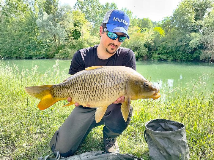 Carpe del Tevere