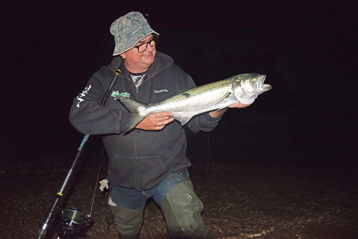 Bluefish: quali ami?