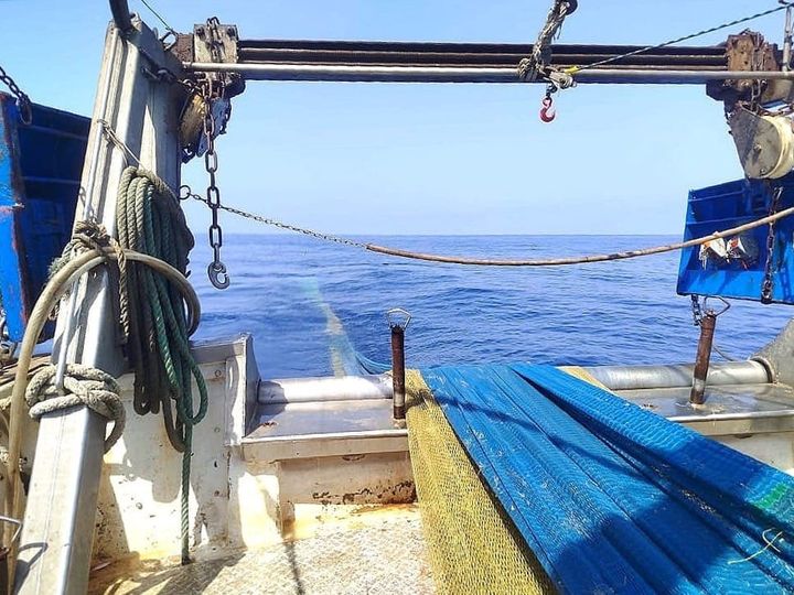 Pesca a Strascico più Sostenibile?