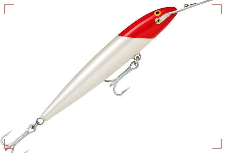 Rapala +7%