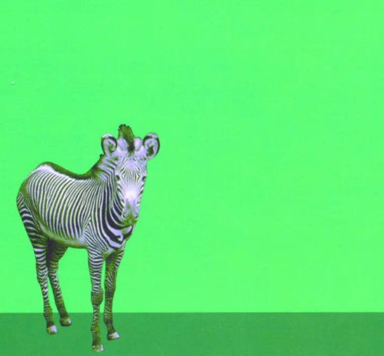 Left Far Behind: ‘90s One-Hit Wonders You Probably Forgot About