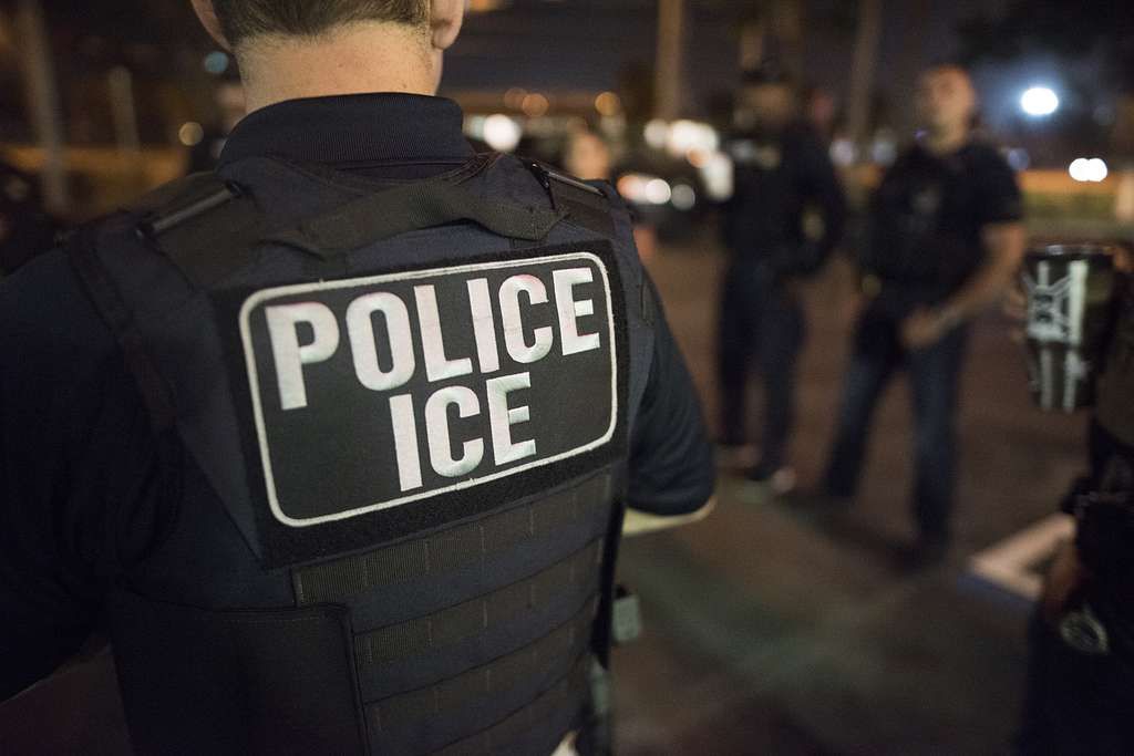 ICE Deportation Surge Sparks Cheers as Democrats Warn Illegals Are Afraid to Grocery Shop: 'They Should Be Terrified'