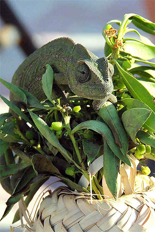 Le [Freelance] Agile Java Craftsman est devenu périmé