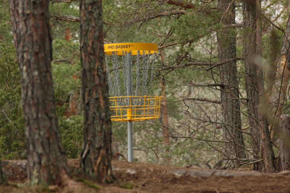 Can Minimalism be Applied to Disc Golf? You bet.