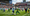 Bamboo Weekly #172: World Cup