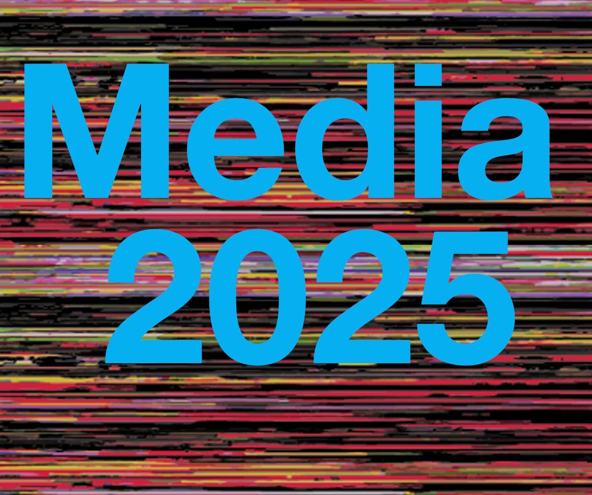 6: Useful subcategories of hosted media businesses