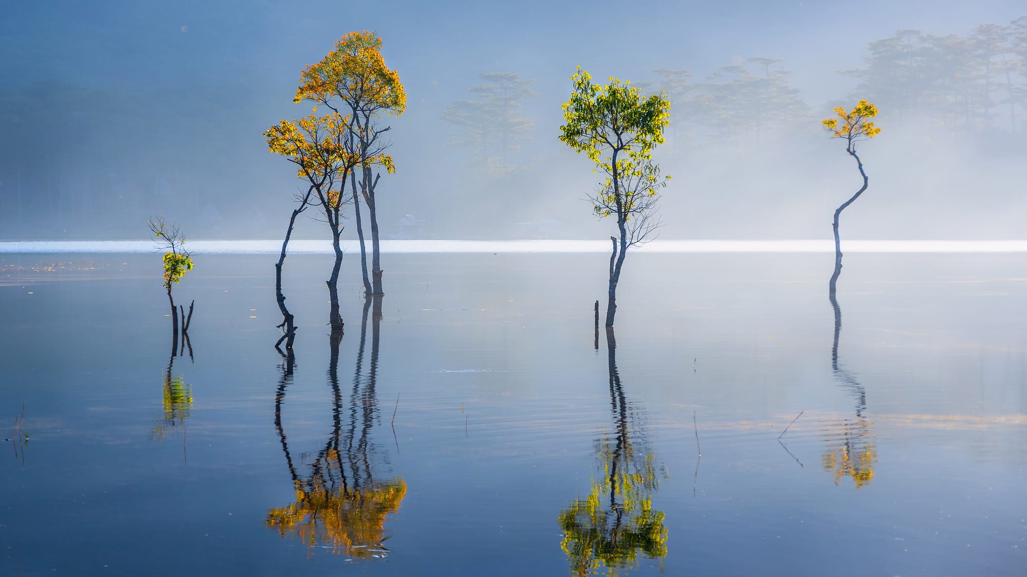 Notes from Naethra, LCSW