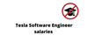 Tesla salaries cover 