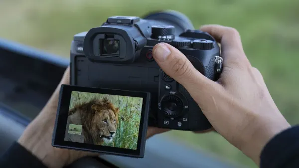 Sony RX10 V è ufficiale: la nuova fotocamera super zoom di quinta generazione per sport, natura e viaggi