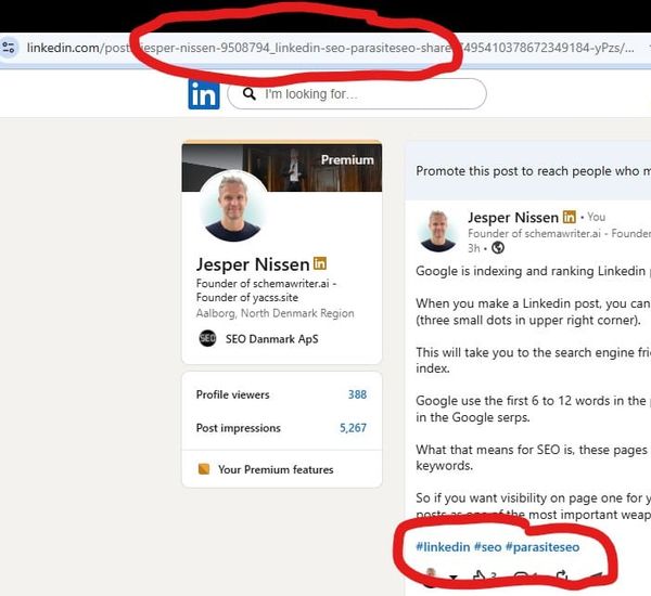 Free tip: LinkedIn hashtags for search friendly URLs