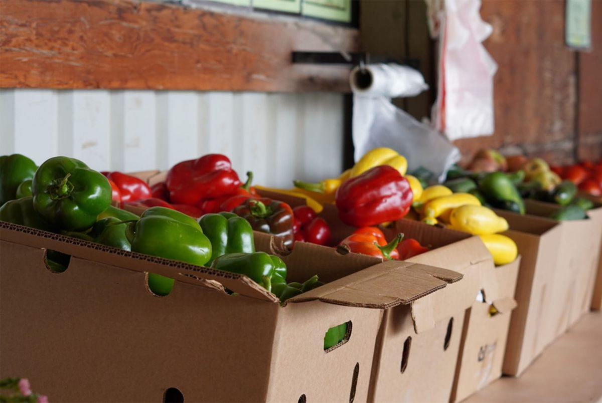 Produce in Philadelphia costs more than it has in years