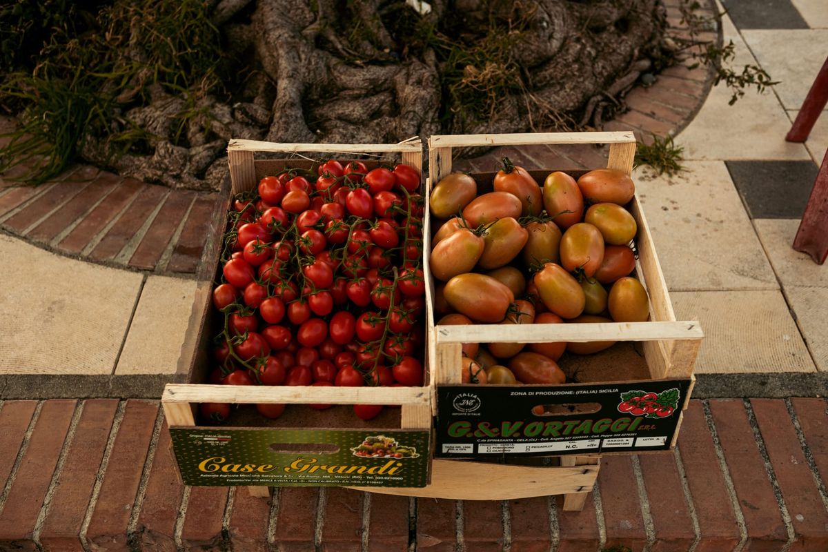 Free food and how to help mutual aid groups
