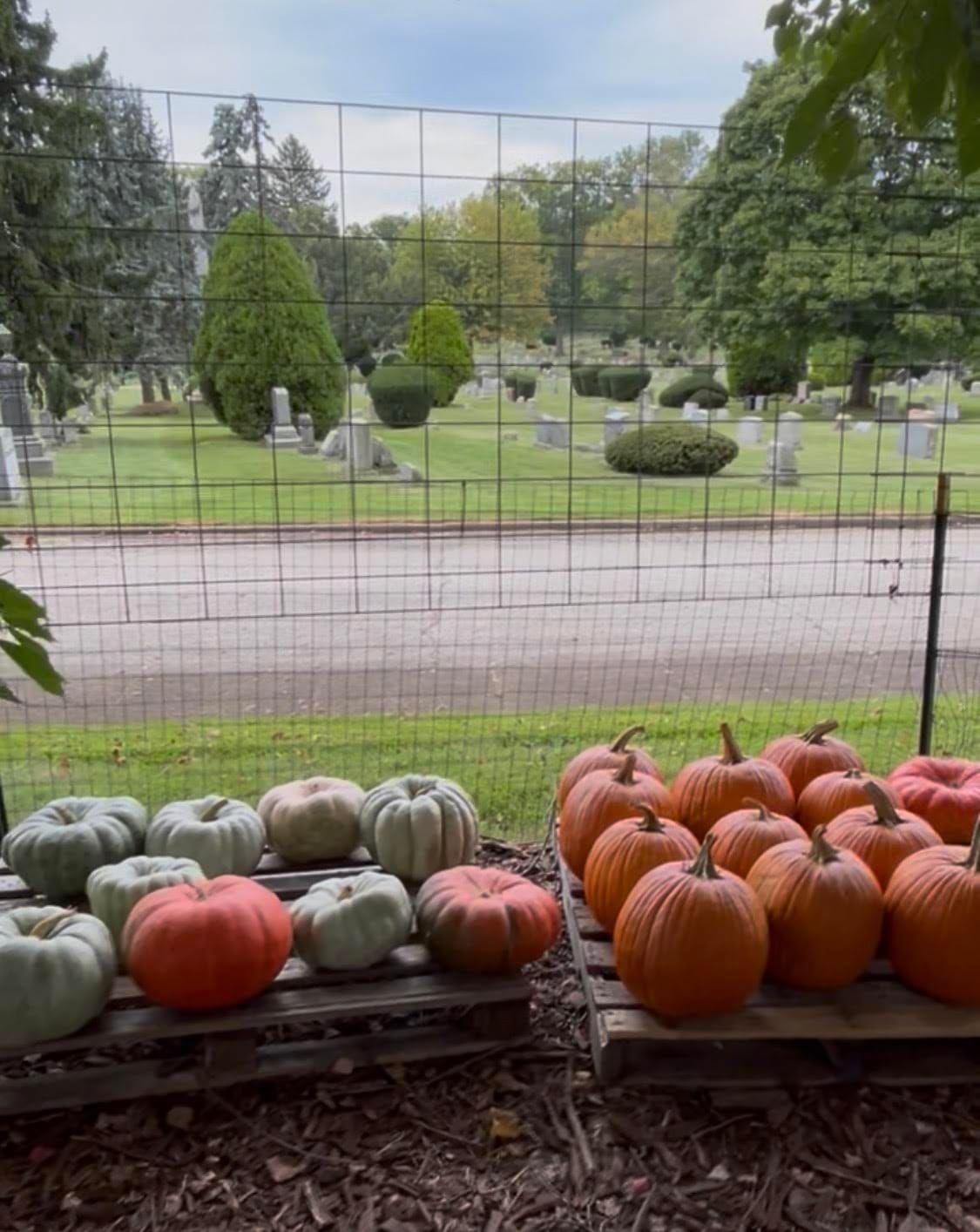 Get your late-summer tomatoes at this Philly cemetery