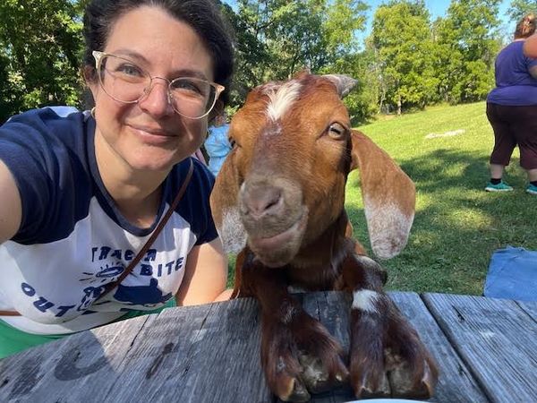 This farm sanctuary hosts coffee with cows