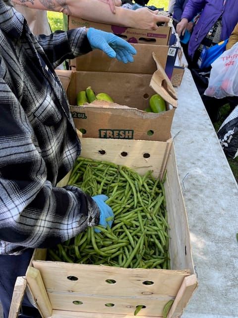 A drop in SNAP participation means we all need food equity