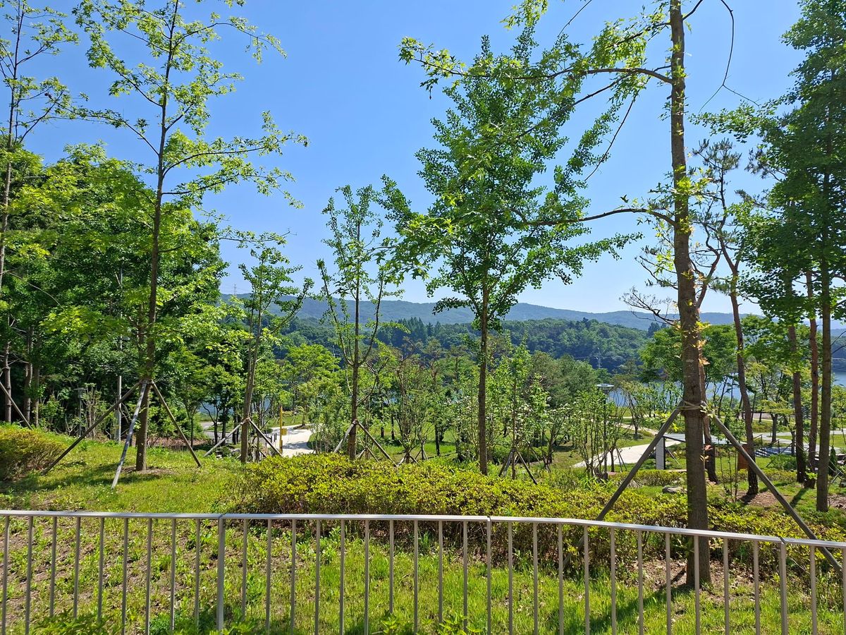 Density in the Park