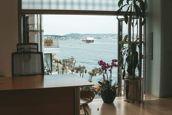 Why Busan has no dedicated body