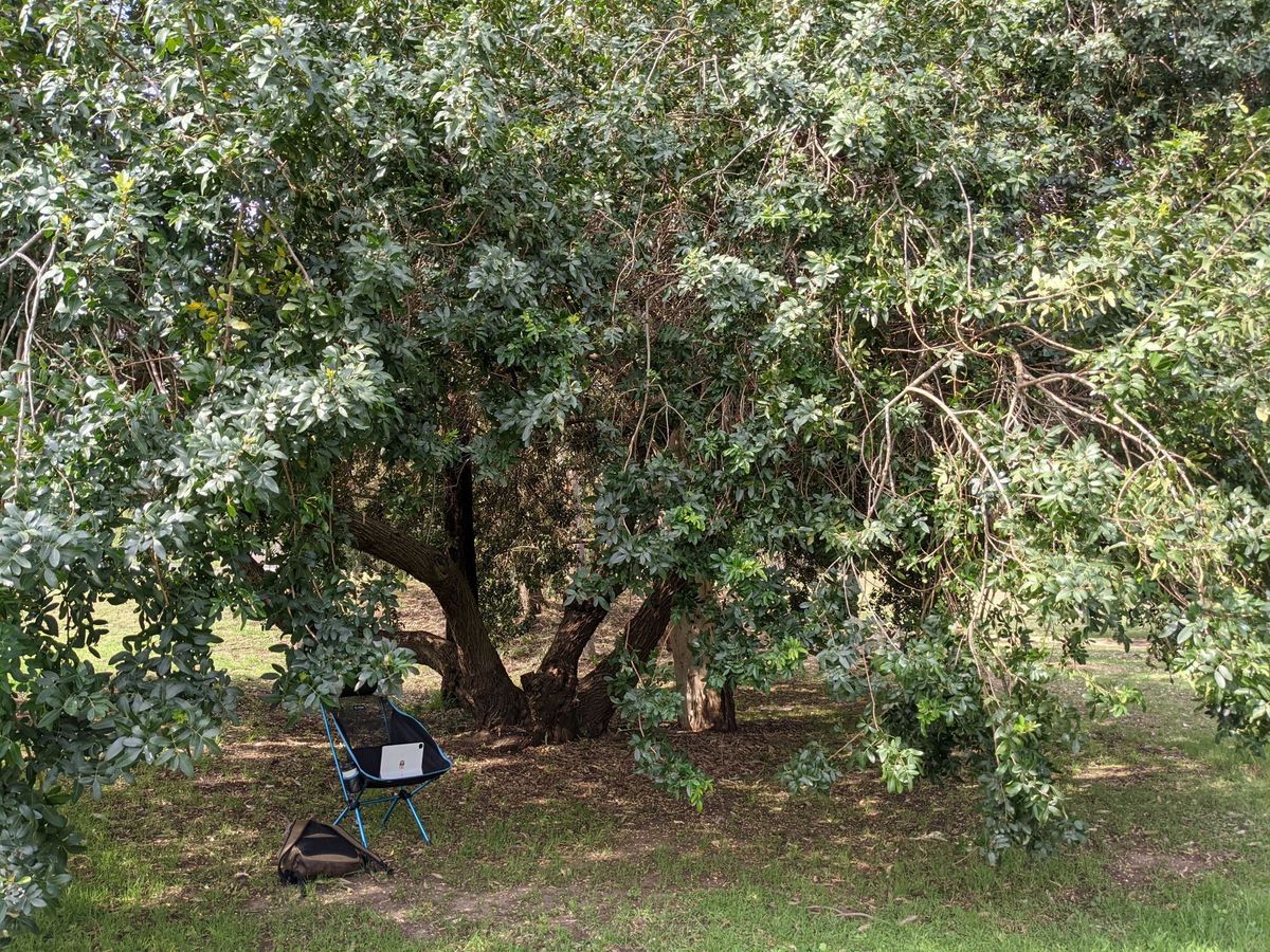 Reflections on software development from anywhere on an iPad