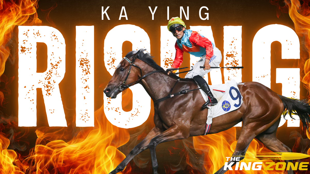 Ka Ying Rising vs The Everest: Is He Unbeatable on Aussie Soil?
