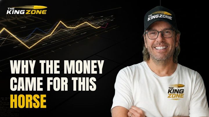 How to Reverse Engineer a Horse That Firmed From $3.50 Into $2